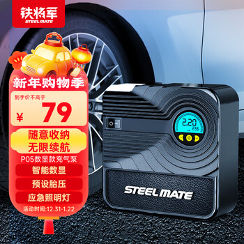Iron general mini car air pump car tire pump portable bicycle basketball electric pump p05