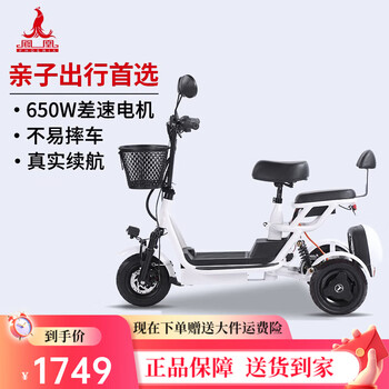 Phoenix q3 parent-child electric tricycle household small elderly walking electric vehicle elderly leisure small tricycle two-seater + 650w differential + 8a lithium battery + about 20 kilometers