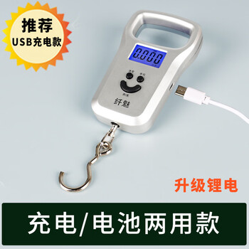 Tuojin japan imported quality household type-c rechargeable precision portable scale spring scale small portable hook scale for grocery shopping silver (usb charging model)
