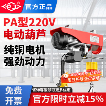 Hugong small crane 220v micro electric hoist construction and decoration household electric lifting winch 1 ton crane pa200 12 meters