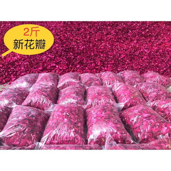 Wing fantasy special price 2kg free shipping 1000g yunnan natural dried rose petals bath foot bath foot bath spa limited edition 1000g 2kg free shipping