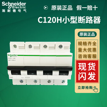Schneider 10ka small circuit breaker c120h 2p/3p/4p 80a 100a 125a c type d type c120h_2p_c125a_a9n19825