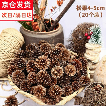 Tingmo pine cones natural pine cone christmas decoration kindergarten children's handmade diy material package natural branches round wood chips pine cone dried flower package 20 pieces 4-5cm