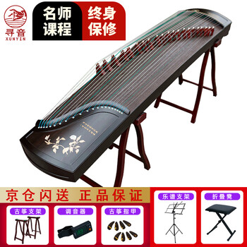 Xunyin guzheng advanced collection playing guzheng professional grading guzheng national plucked instrument