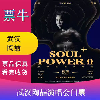 Wuhan tao zhe 2026 soul power ii plus world tour concert ticket wuhan station march 28, 2026 saturday 19 30 1380 infield non-original price consult customer service before bidding, private bidding is invalid please note the identity information contact information