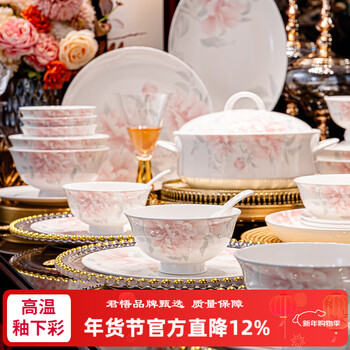 Junwu jingdezhen bone china tableware complete set of underglaze colored ceramic bowl set light luxury bowl and plate combination household housewarming gift golden age beauty underglaze color color box pack practical configuration for 10 people 56-piece set