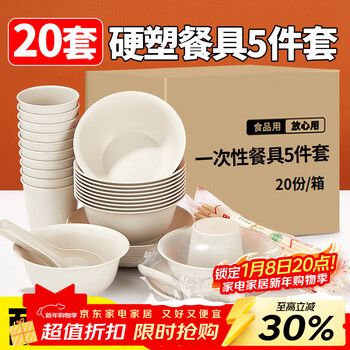Youao disposable tableware set for 20 people, 5-piece set, bowls, cups, plates, spoons, chopsticks, no-wash party food grade