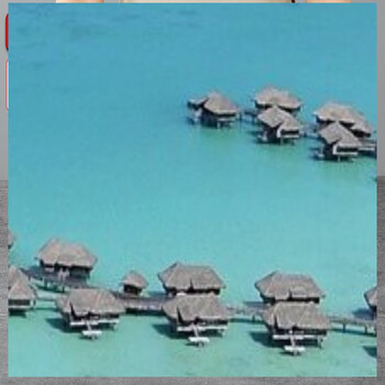 Tuojin japan's imported high-quality sub-mother pot hot pot pot for household skewers electric hot pot sub-mother pot hot pot shop open flame electromagnetic mandarin duck hot pot pot_approximately 3-5 people 30cm