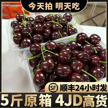Fat donglai's same style chilean imported cherries fresh fruit seasonal whole box gift box 5 catties new arrival 4jjjj 2 catties (net weight) 2 catties 2j 28mm (inclusive)-30mm (exclusive)