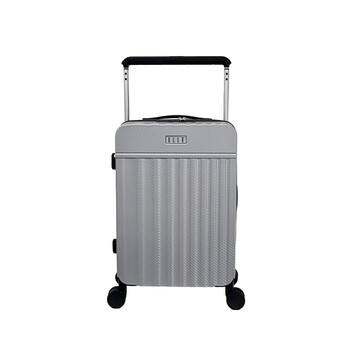 Elle rodaya luxury wide trolley case silver gray 20 inches