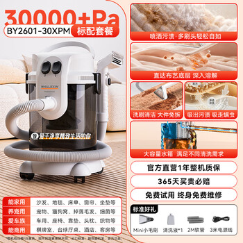Whalexin official authentic fabric cleaning machine household high suction mattress sofa cleaning machine commercial multi-function carpet cleaning machine by2601 standard package