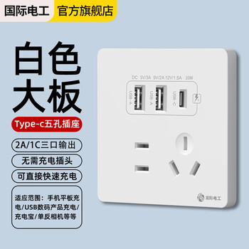 International electrician concealed type 86 20w fast charging usb socket switch panel wall mobile phone charging type-c household five-hole five-hole 20w fast charging usb+typec (white)