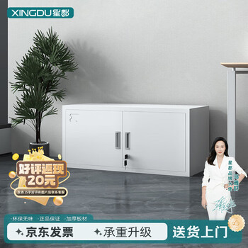 File cabinet iron cabinet information filing cabinet office low cabinet storage cabinet divided into five sections single section cabinet custom link large batch 900*500*450