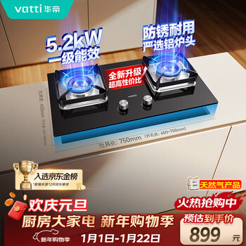 Vantage small stove king gas stove natural gas embedded desktop level 1 energy efficiency small size 5.2kw fierce fire gas stove double stove stove i10106