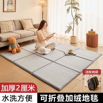 Fantasy foldable carpet gray living room bedroom autumn and winter floor climbing mat bedside floor mat fashionable gray 60x120cm two grids 60x60 one grid