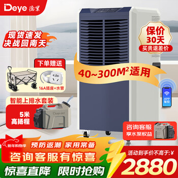 Deye flagship 138l industrial dehumidifier villa basement dehumidification warehouse household high-power moisture absorber dy-8138c upper drainage pump water base station package 138l/day pump water package applicable within 300