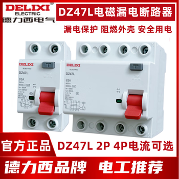 Delixi electromagnetic leakage circuit breaker protector 2p 4p 32 40 63 100 10a 2p