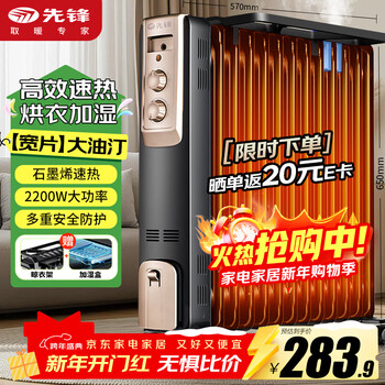 Pioneer graphene heater electric heater electric radiator household electric heating oil 13 pieces whole house heating intelligent constant temperature low noise energy-saving drying clothes humidification dyt-z2