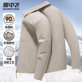 Flying in the snow winter down jacket men's short lapel zipper underwear warm and cold protection fashionable casual versatile jacket gray green l (175)