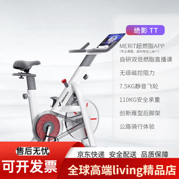 Merrick merach jueying tt intelligent magnetic silent spin bike elegant white