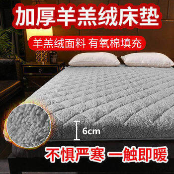 Yusenyi custom-made warm lambswool tatami mattress 0.8x1.1*1.31.4 single 1.5/1.6/1.8m1.9 customized warm lambswool-noble gray (6cm) 120*190cm (ready in stock)