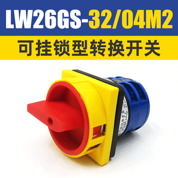 Delixi conversion lw26gs-20 32 63 /04m2 padlock type power cut-off transfer switch lw26gs-32/04m2