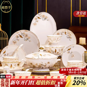 Porcelain xizi jingdezhen ceramic tableware set 2025 new chinese bowl household set newlywed housewarming tableware set flower and bird halloween-4 people food 20 pieces with soup bowl gift box set 20 pieces