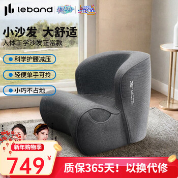 Leban ergonomic waist-protecting small sofa living room bedroom small apartment children's reading sofa lazy single sofa seat upgraded version normal dark gray