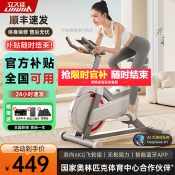 Lijiujia spinning bike home intelligent sports fitness equipment indoor silent bicycle small d100 fat burning small rubik's cube version/12 jin flywheel set