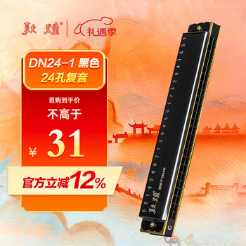 Dunhuang 24-hole polyphonic harmonica dn24-1 black, recommended for adult beginners, c key, entry-level performance