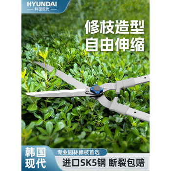 Complete korean modern large scissors for pruning branches, gardening scissors, landscaping pruning shears, fruit tree pruning, flower pruning and grass pruning, upgraded model - straight blade, professional grade hedge shears, sk5 steel, free anti-rust oil+
