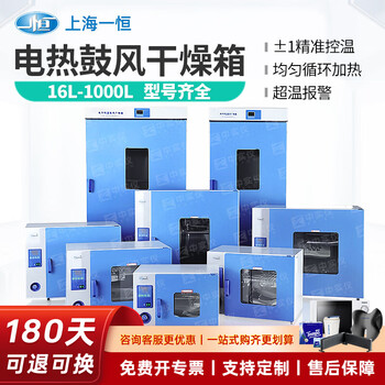 Yiheng shanghai electric blast drying oven industrial oven laboratory thermostatic oven sterilization baker high temperature dhg-9030 34*32*32 galvanized iron gall