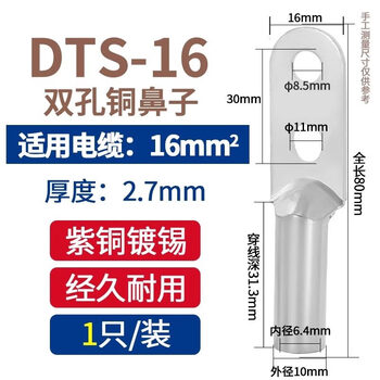 National standard ts double-hole copper nose terminal block tinned copper wire lug 25/35//120 square meters double-hole tinned copper dts-16 square_(1 piece)