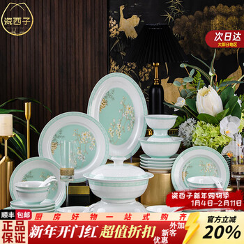 Porcelain xizi jingdezhen chinese dishware set for home use 2025 new high-value bowl set high white porcelain plate bowl set magnolia spring color 68-piece set 68 pieces