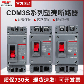 Delixi plastic case circuit breaker cdm3s air switch 2p125a160a200a250a electric circuit breaker 250a 2p