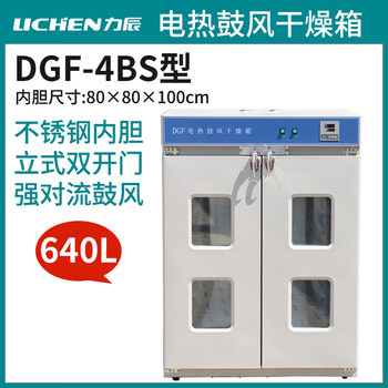 Lichen technology (lichen) lichen electric heating constant temperature blast drying oven laboratory oven industrial oven vacuum drying oven high temperature test chamber dgf-4bs (stainless steel liner double door 640l)