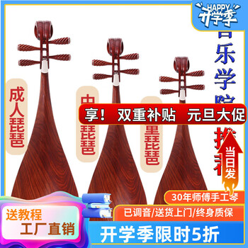 Folk music pipa musical instrument for adults and children beginners entry-level pipa professional teaching pipa mahogany rosewood pipa musical instrument adult rosewood axis performance level
