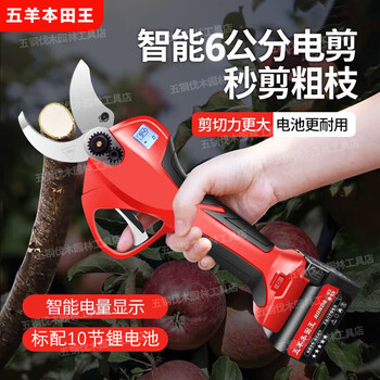 Wuyang benyou wang lithium battery electric scissors for branch cutting, rechargeable garden pruning shears, fruit tree scissors, gardening shears, powerful red 6.0, two batteries, one charge, 2 blades