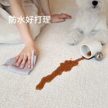 Saibos white moonlight waterproof living room carpet anti-stain resistant light luxurious high-end french cream style simple bedroom qingshan meisu white moonlight (popular model) 200cm*300cm (suitable for 2.6~3m sofa)