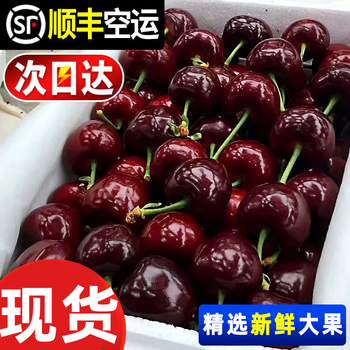 Caiti imported chilean cherries 5kg4j fresh cherries next day delivery fresh fruit seasonal gift box full box 1kg (net weight) value pack j 26mm (inclusive)-28mm (inclusive)