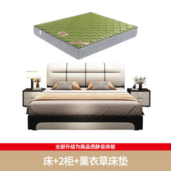 Baiyin leather bed 18m master bedroom 2m large bed tatami double technology fabric 15m bed storage baby bed modern simple leather bed + 2 cabinets + 9 zones lavender mattress mattress with spring 2000mmx2000mm frame structure