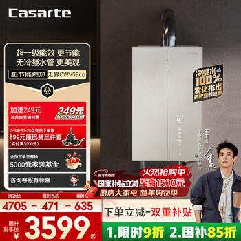Casarte (casarte) 15% national subsidy, non-condensed water cwv5eco energy-saving 16-liter gas water heater natural gas super first-class energy efficiency, constant temperature and silent, jd.com self-operated door-to-door installation