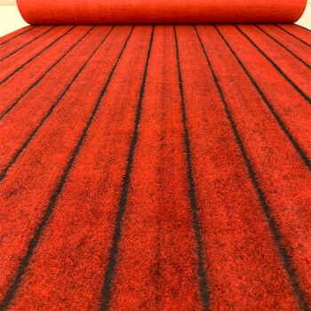 Yong huan customized home commercial gray carpet room full living room office mat photo large area thick sound insulation black and red stripes 1 meter wide (it takes a few meters to take a few pieces) the whole photo