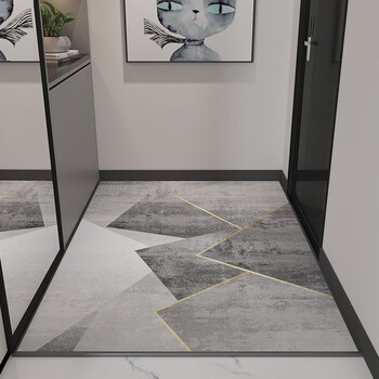 Fantasy high-end entrance door floor mats, light luxury modern entrance door mats, doorway home carpets can be cut, mulsanne 80cmx120cm belgian velvet/quality