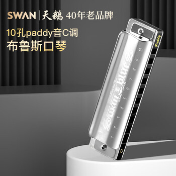 Swan (swan) blues harmonica 10-hole c key children's beginners entry professional blues genuine paddy tuning silver