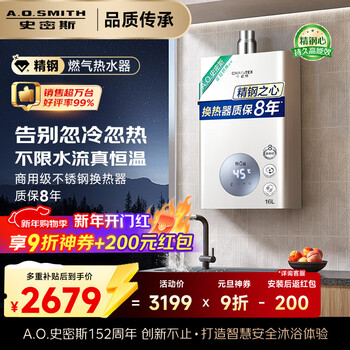 Smith (a.o.smith) garnet 16-liter stainless steel gas water heater, stainless steel heat exchanger package 8 years, constant temperature, large water volume, wind resistance and anti-freeze jsq31-tc1 trade-in