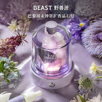The beast paris weekend bell jar diffusing spar ambient lamp set aromatherapy bedroom wedding birthday gift