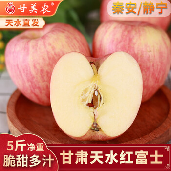Ganmenong tianshui red fuji apple gift box qinjingning fuji gansu apple strips red slices red fruit crisp, sweet and juicy 9-10 large fruits 5 jin (single fruit 230g+)