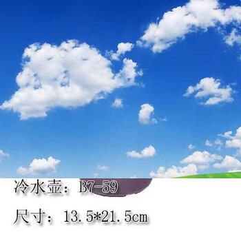 Yusenyi cold kettle plastic high temperature resistant large capacity household milk tea shop japanese style summer cold kettle cold boiling kettle b759 purple 2000ml 759l