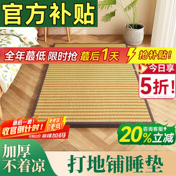 Visibility floor sleeping mat artifact floor sleeping mat home bedroom mat japanese style floor mat tatami mat plus width 1000cm * length 200cm * 3cm * 2 sheets double